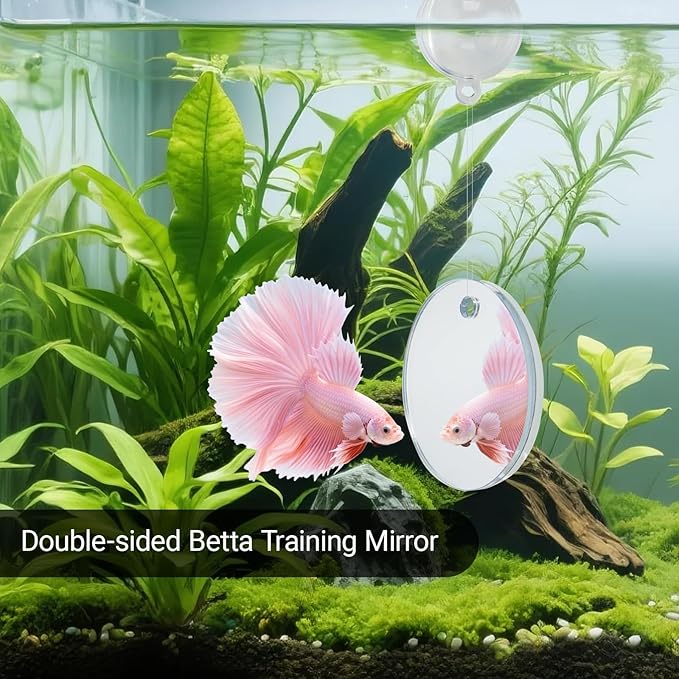 Betta Fish Toy Set: Betta Training Floating Mirror, Training/Feeding Ring, Spoon, and Resting Leaf. Promotes Exercise. Betta Toys, Resting & Feeding Kit, Purple