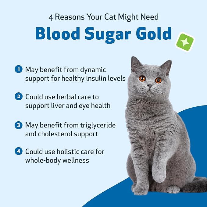 Pet Wellbeing Blood Sugar Gold for Cats - Holistic Support for Healthy Blood Sugar Levels, Insulin Stabilization & Normal Pancreatic Function - NASC Certified & Vet-Formulated - 2 oz Liquid