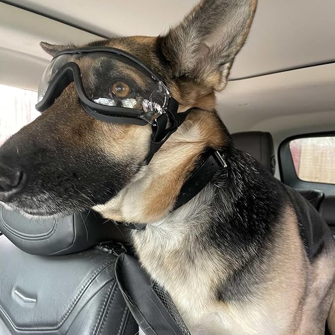 Namsan Clear Dog Goggles Large Breed, UV-Protection Doggie Sunglasses for Medium to Large Dogs, Outdoor Dog Eye Protection, Anti-Fog Anti-Dust Windproof Snowproof, Adjustable Straps, Transparent