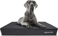 The Dog’s Bed Orthopedic Memory Foam Dog Bed Mattress, Oxford Fabric, Grey with Black Trim, XXL, 6-Inch