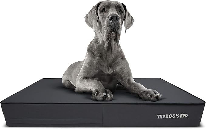 The Dog’s Bed Orthopedic Memory Foam Dog Bed Mattress, Oxford Fabric, Grey with Black Trim, XXL, 6-Inch