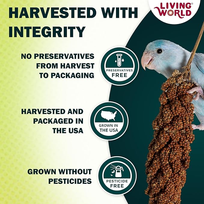Living World – Millet Spray for Birds, 7 Oz – Premium Treat for Budgies, Canaries, Finches, Cockatiels and Other Pet Birds