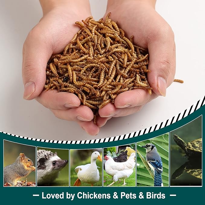 10LB 100% Natural Non-GMO High Protein Dried Mealworms, Large Size No Moisture, Perfect for Chickens Birds Hedgehog Hamster Fish Reptile Turtles