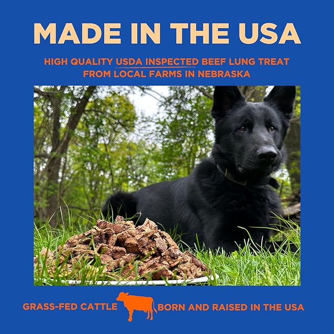 PAWW CHEW Beef Lung Dog Treats - 100% Natural, Single Ingredient, (1 Pound) Made in The USA, Dried & Dehydrated, High Protein, High Value Dog Training Treats, Grain Free, Low-Odor Free for All Breeds