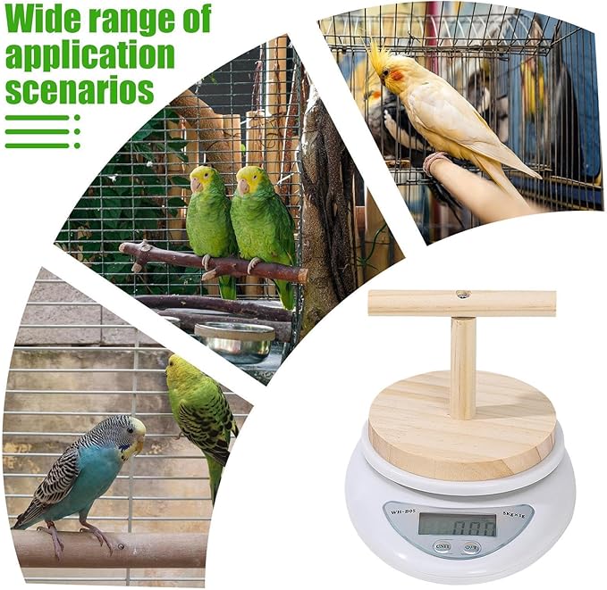 Parrot Weighing Scale – Bird, Electronic Scale | Small Animal Feeding Weight Tool for Xuanfeng Tiger Skin Peony, Measuring Bird Food Grain and Milk Powder for Daily Health Monitoring and Pet