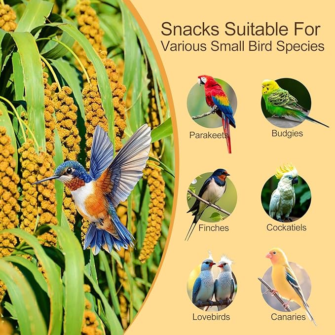 Natural Sun-Dried Spray Millet for Birds - 0.88LBS, Non-GMO Healthy Bird Treat Food for Parakeets, Cockatiels, Parrots, Lovebirds, Finches & Canaries