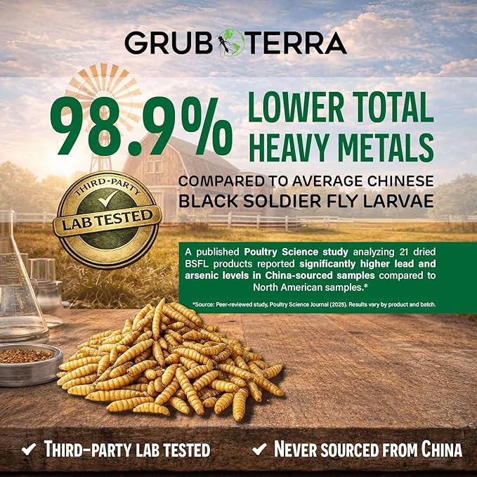 GrubTerra Black Soldier Fly Larvae for Chickens – Dried BSFL Poultry Treat, High Protein Calcium Feed Supplement for Laying Hens, Backyard Chickens, Sourced from Mexico, Not from China - 2LB