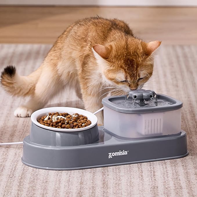 Cat Water Fountain and 1 Ceramic Food Bowl - 2 in 1 Ultra Quiet Automatic Pet Food and Water Bowl Set for Kitty, Gray (No Adapter)