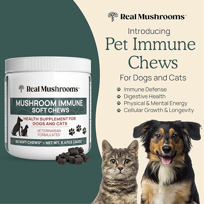 Real Mushroom Immune Pet Chews – For Daily Digestive & Immune Health – Mushrooms for Dogs & Cats Functional Treat – Mushroom Supplement for Dogs & Cats – 1 to 4 Chews For All Breeds & Sizes (60 Count)