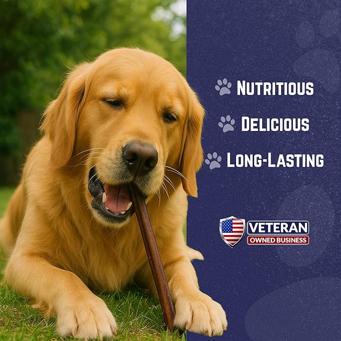 Devil Dog Pet Co. Bully Sticks – 12 Inch, 10 Pack, Standard Sized Dog Chews, 100% Natural, Single Ingredient, Free-Range Grass-Fed Beef – Long Lasting, Rawhide-Free Treats for Dogs