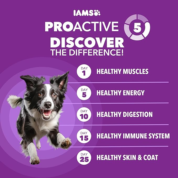 IAMS Advanced Health Dry Dog Food Healthy Digestion, Adult Dog Food with Real Chicken Recipe, 27 lb. Bag