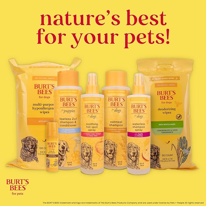 Burt's Bees for Pets Deodorizing Spray for Dogs with Apple and Rosemary, 99.7% Natural Origin Formulas, Waterless Dog Shampoo - Gentle Dry Shampoo for Dogs, Best Dog Shampoo, 10 oz