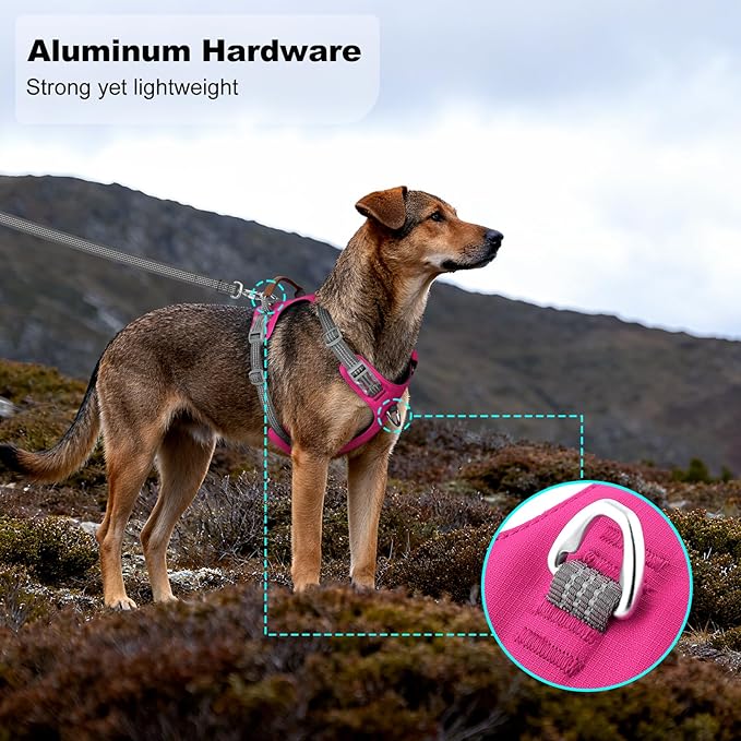 No Pull Dog Harness – Adjustable Reflective Nylon Vest for Small Medium Large Dogs, Escape Proof Training Harness with Leather Control Handle, Lightweight Aluminum Hardware (Hot Pink, S)