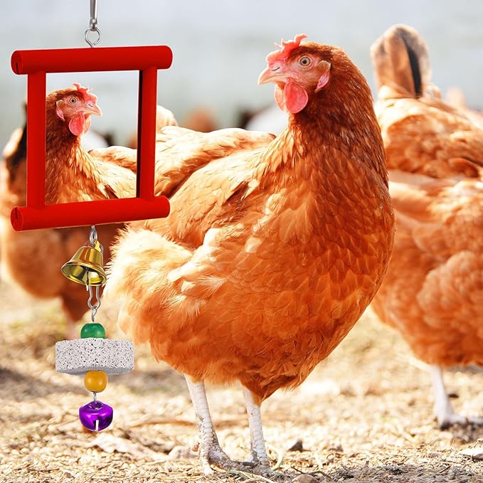 Sumind 2 Pieces Chicken Mirror Toys Hanging Swing Mirror with Bell Wooden Pecking Toy and 4 Pieces Beak Grinding Molar Stones for Hens Birds Parrots (Red,Blue)