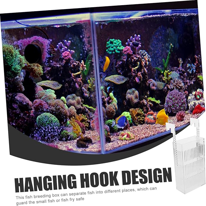 Mikikit Acrylic Fish Incubator for Betta Sturdy Aquarium Breeding Box Fish Tank Separator