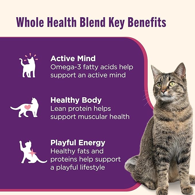 Nutrish Grain Free Ocean Lover's Whole Health Blend Variety Pack Wet Cat Food, 2.8 oz. Cup, 12 Count (Rachael Ray)