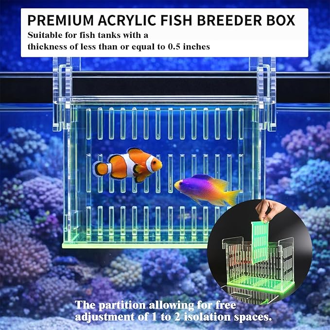 Aquarium Acrylic Breeding Box with Extendable Net - Fish Tank Breeder Box, Isolation Acclimation Hatchery for Saltwater & Freshwater Baby Fish, Shrimp, Betta (Green, 7.4x5.3x6.3 in)