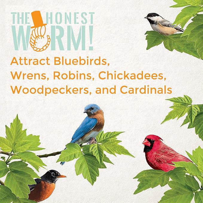 Wild Bird Magnet | Premium Freeze Dried Mealworms | Living Sight Attractant | Ethically Sourced Natural Organic Yellow Worms | High Protein Treats for Birds & Exotic Pets | (7oz)