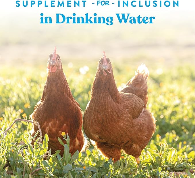 Manna Pro Hydro-Hen Poultry Electrolyte & Probiotic Supplement, Hydration Support for Chickens, Ducks, Turkeys & Waterfowl, 8 oz