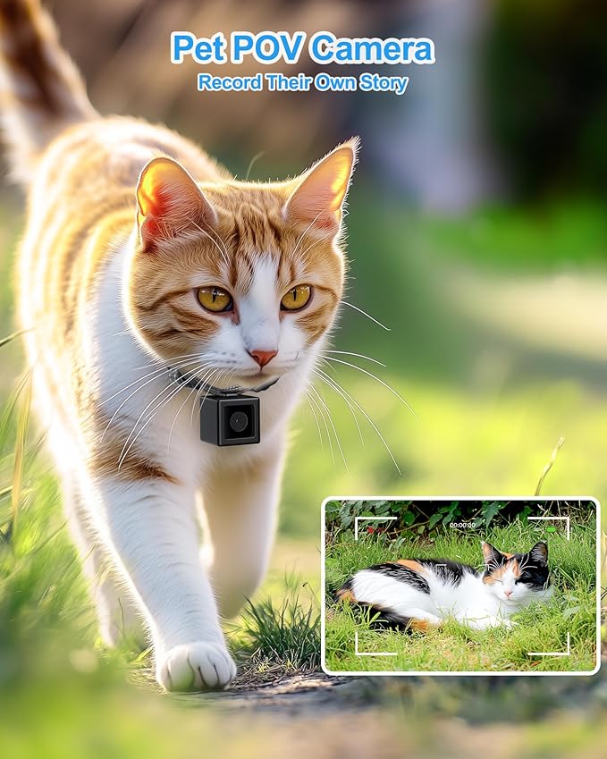 Cat Collar Camera Pet POV Cam with 1080P HD Video Recording,NO APP, NO Wi-Fi Needed, Small Dog Camera Collar