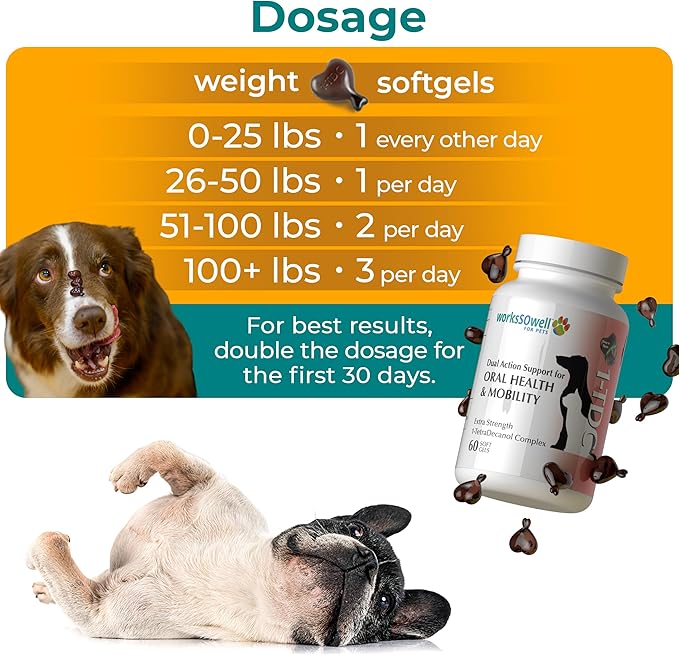 1TDC WorksSoWell Dual Action Hip and Joint Supplement for Dogs & Cats - for Large & Small Breed - Great for Oral Health, Stamina Recovery & Arthritis Pain Relief -60 ct