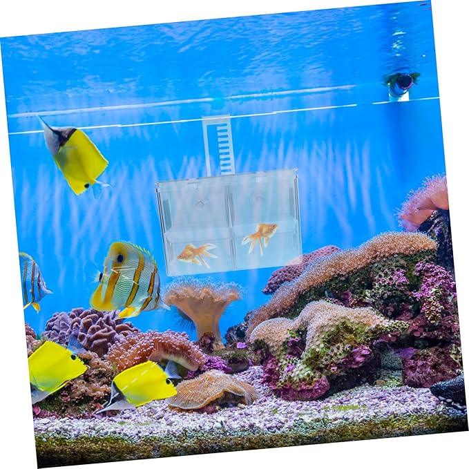 TOYANDONA Aquarium Breeding Isolation Box Hanging Fish Hatchery Cup Transparent Fish Fry Breeder Box for Safe Hatching Lightweight and Portable Design