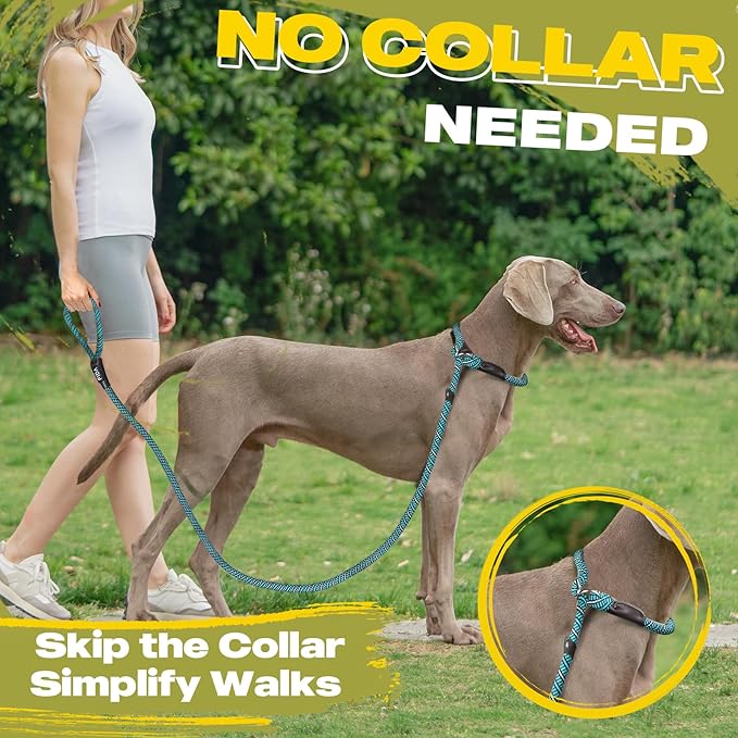 Fida Durable Slip Lead Dog Leash, 6 FT x 3/8" Heavy Duty Comfortable Strong Rope Slip Lead for Small Dogs and Puppies, No Pull Pet Training Lead with Highly Reflective(3/8", Blue)