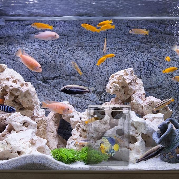 Fish Breeding Tanks Fish Tank Box 2Pcs Breeding Box Plastic Boxes Aquarium Acclimation Hatchery Incubator for Shrimp Clown Guppy