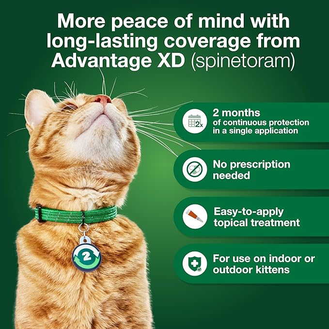 Advantage XD Large Cat Flea Prevention & Treatment For Cats over 9lbs. | 4-Topical Doses, 2-Months of Protection Per Dose