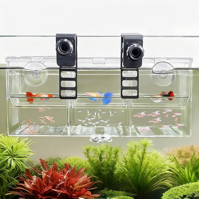 Triple-Chamber Aquarium Fish Breeder & Isolation Box, Transparent Hatching Incubator Tank with Suction Cups & Hook, Nursery for Livebearer Guppy Fry Breeding and Betta Fish, Shrimp Quarantine