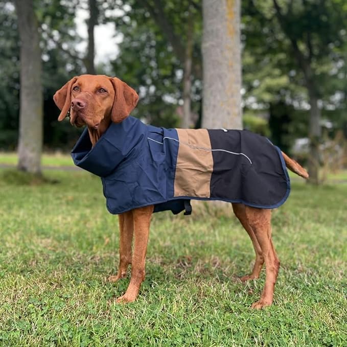 Spark Paws Dog Raincoat, Waterproof Windproof Rain Jacket, for Small Medium Large Extra Large Dogs, Reflective Breathable Full-Body Coverage Dry Suit - Blue Gold Black - S