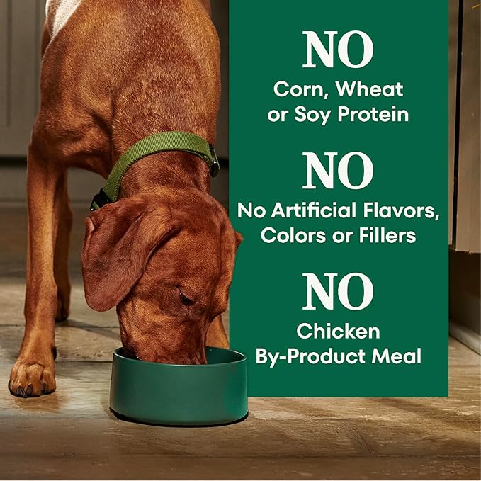 Nutro Natural Choice Senior Dog Food Dry Recipe, Lamb and Brown Rice Recipe, Dry Dog Food, 30 lb. Bag