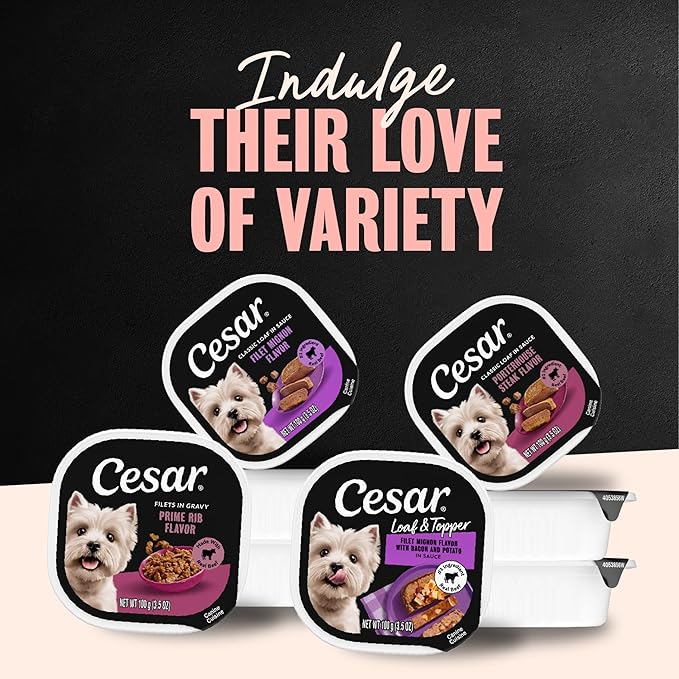 Cesar Adult Wet Dog Food Steak Lovers Variety Pack with Real Meat, 3.5 oz. Easy Peel Trays, 24 Count (Pack of 1)