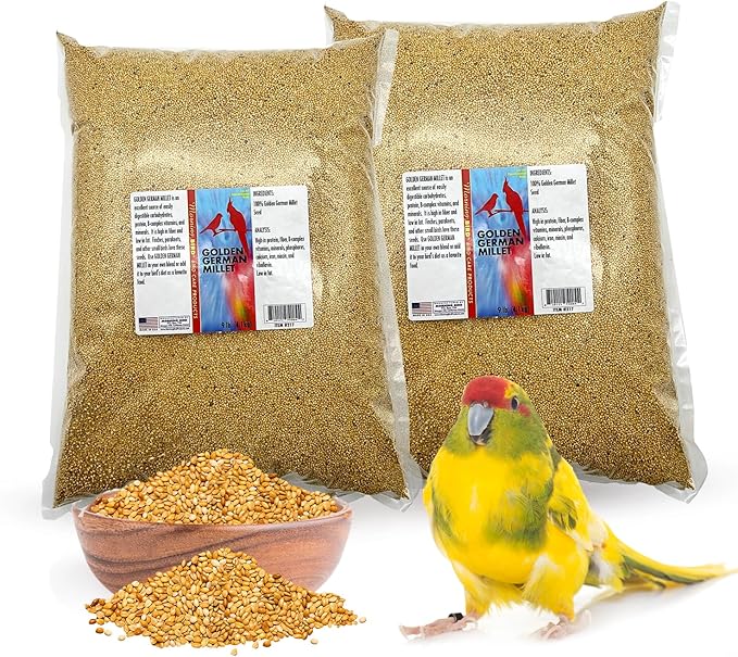 Morning Bird Golden German Millet 18 lbs (2-Pack, 9 lbs Each) – Natural Millet Seed for Birds – Natural Protein & Fiber Source – Easy-to-Digest Daily Nutrition for All Bird Types
