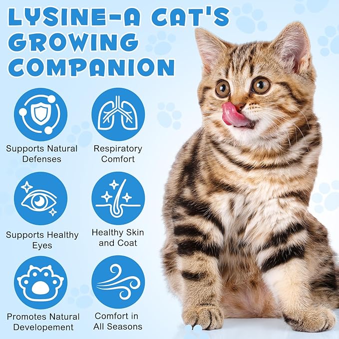 NIFEISHI L-Lysine Liquid Supplement for Cats - for Respiratory Health, Sneezing, Runny Nose & Eye Care - for Cats of All Ages, Easy-to-Use Liquid Drops, 60ml/2oz