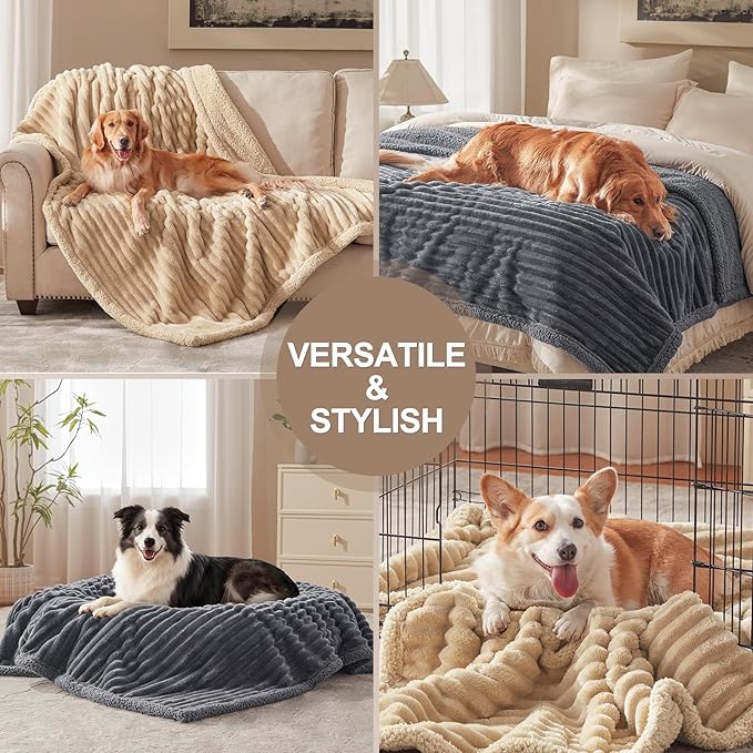 Waterproof Dog Blanket for Large Dogs, Washable Soft Puppy Cat Blanket Flannel Cotton Velour for Sofa Couch Protector, Comfort & Security Reversible Bed Protection for Pet, 40"X50", Gray