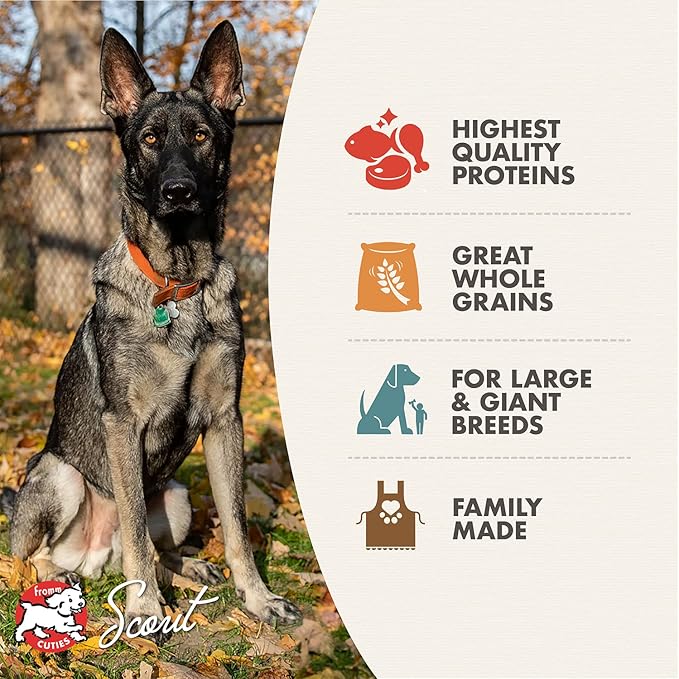 Fromm Large Breed Adult Gold Premium Dry Dog Food - Dry Adult Dog Food for Large Breeds - Chicken Recipe - 15 lb
