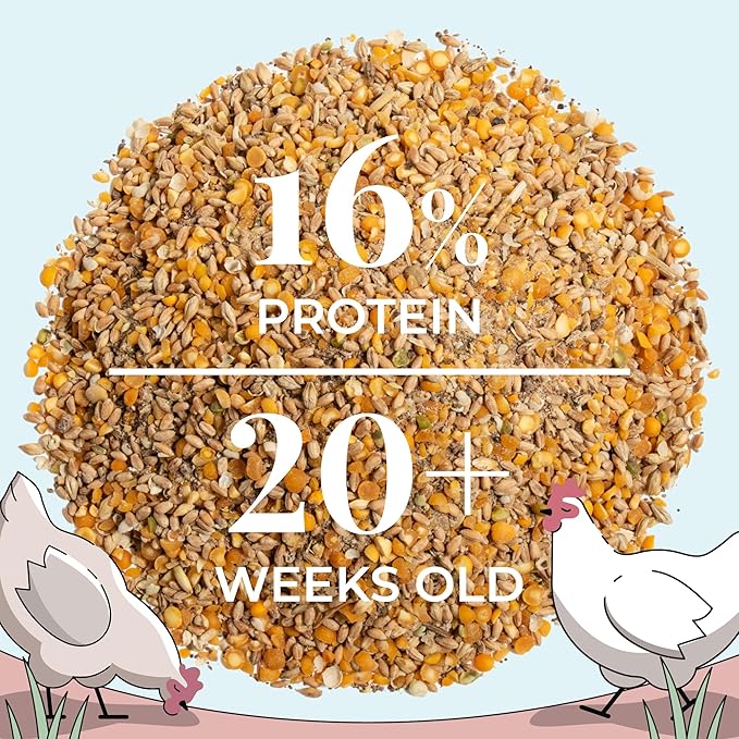 Mile Four Organic Chicken Feed (23 lbs) Layer Whole Grain, Non-GMO, USA Grown, 16% Protein, Corn-Free, Soy-Free, Non-Medicated Feed for Chickens