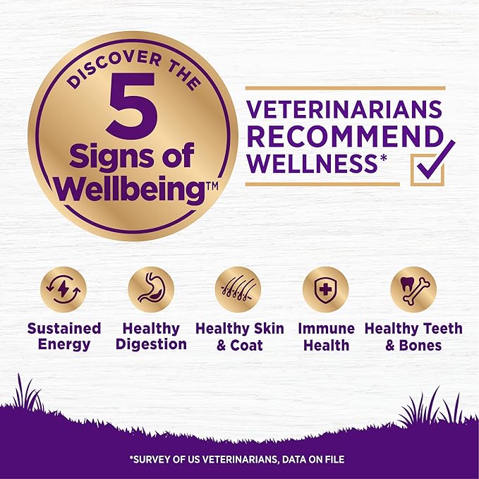 Wellness Complete Health Adult Dry Dog Food, Wholesome Grain Kibble, Natural, Chicken and Oatmeal Recipe, 15 lb Bag