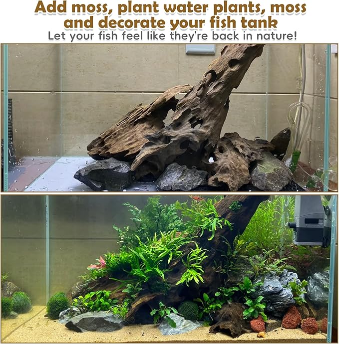 PINVNBY Natural Driftwood for Aquarium Large Reptile Terrarium Decor Decorations Assorted Branches Dearded Dragon Tank Accessories (Slim Style: 7.87-11.8 inches/3 Pack)
