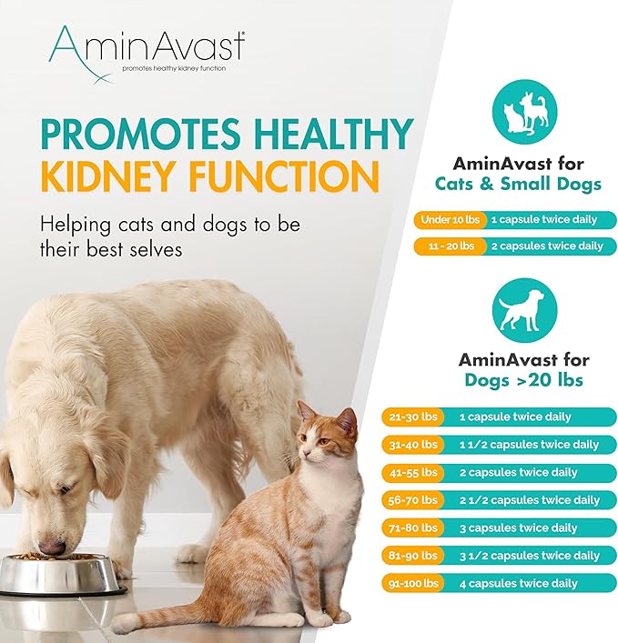 AminAvast Kidney Support Supplement for Dogs, 1000mg 2-Pack - Promotes Natural Kidney Function - Aids in Health and Vitality of Aging Kidneys - Easily Administered - 60 Sprinkle Capsules