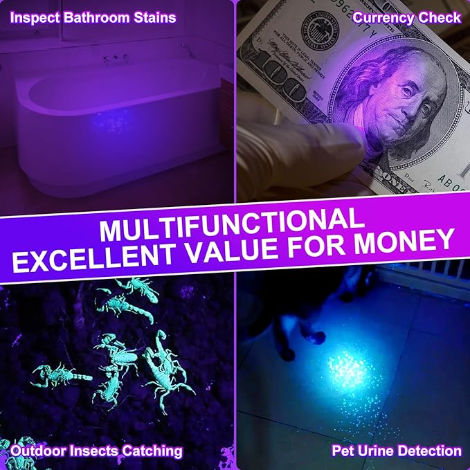 395nm Black Light Flashlight with Filter, High Power Rechargeable UV Flashlight, Bright Black Light for Pet Urine Detection, Bed Bug Detector, Outdoor Jade Exploration & Jade Identification