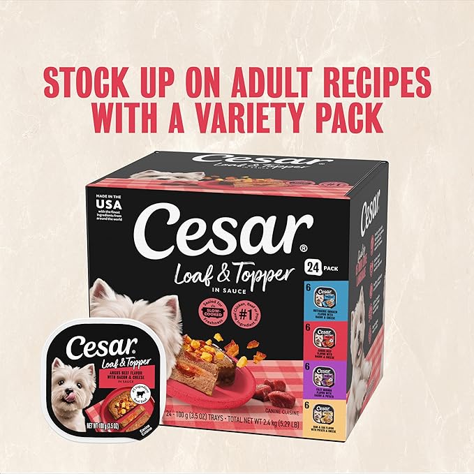 Cesar Loaf & Topper in Sauce Wet Dog Food Bacon Feast Variety Pack, Rotisserie Chicken with Bacon & Cheese and Angus Beef with Bacon & Cheese, 3.5 oz, Easy Peel Trays, 12 Count (Pack of 2)