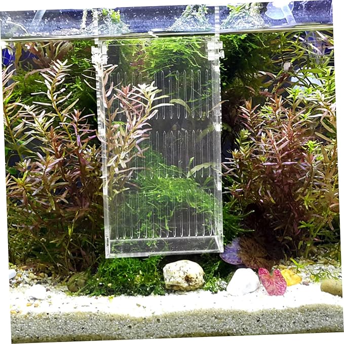 BESPORTBLE Acrylic Fish Breeding Box for Betta Fish Tank Mini Isolated Hatchery Divider for Shrimp and Fry Hanging Aquarium Nursery Planting Holes