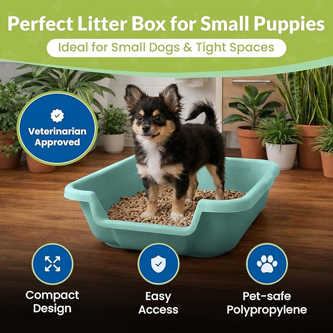Dog Litter Box, Green Color, Small Size, Durable & Pet Safe Puppy Litter Box, Indoor Open Top Entry Dog Litter Pan, Comfortable for Dogs, Great for Small Dogs up to 6 lbs (2 Pack)