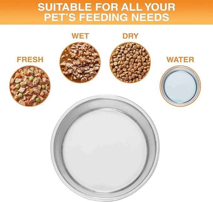Neater Pet Brands Stainless Steel Dog Bowls with Non-Slip Rubber Bottom – Set of 2, 4 Cup (32 oz), Teal - Heavy Duty Metal Dog Bowl, Dishwasher Safe, Food or Water Bowl, Ideal for Medium Dogs