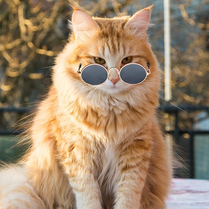 10 Pieces Cat Dog Sunglasses Funny Pet Glasses Round Metal Small Classic Retro Sunglasses Pet Hippie Cute Dog Cat Cosplay Party Costume Photo Props Cosplay Glasses(Grey)