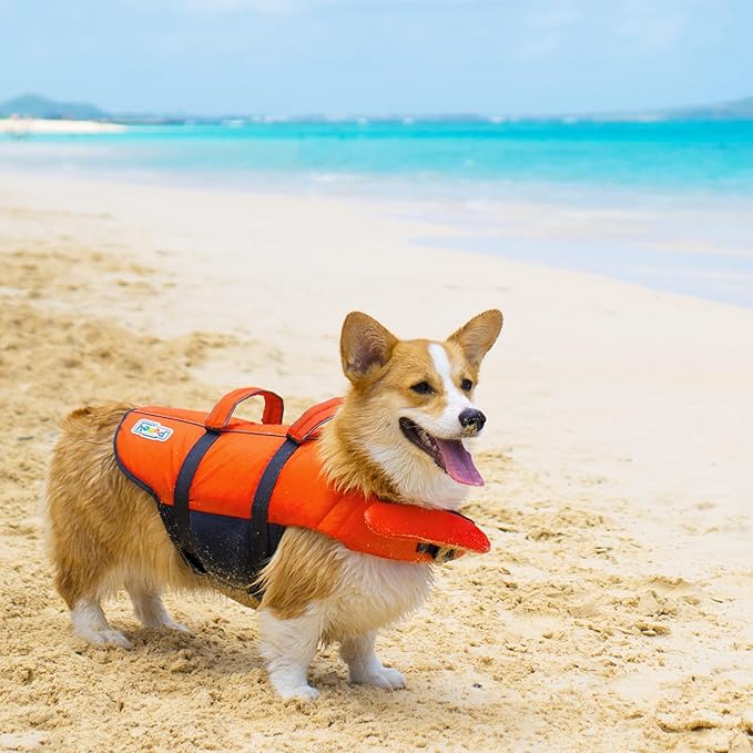 Outward Hound Granby Splash Orange Dog Life Jacket,Large,(Pack of 12)