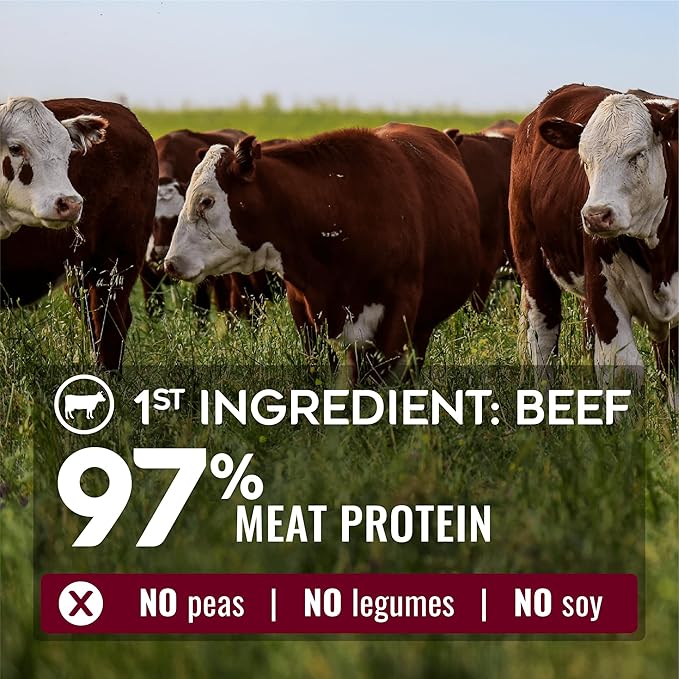 Nature’s Logic Pure Naturals™ 100% Natural Grain-Free Beef Recipe Synthetic-Free Dry Dog Food, 24 lbs