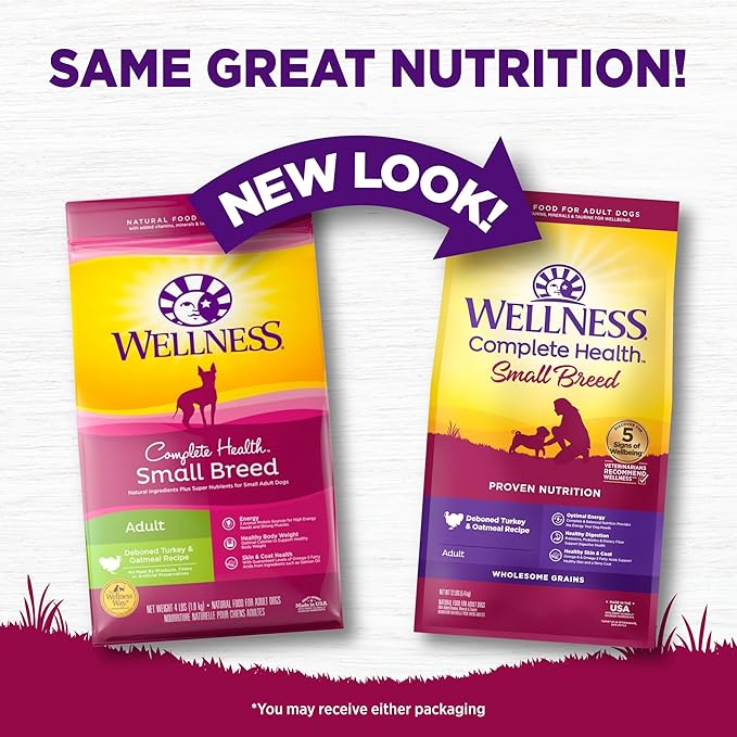 Wellness Complete Health Small Breed Adult Dry Dog Food, Wholesome Grain Kibble, Natural, Turkey and Oatmeal Recipe, 12 lb Bag